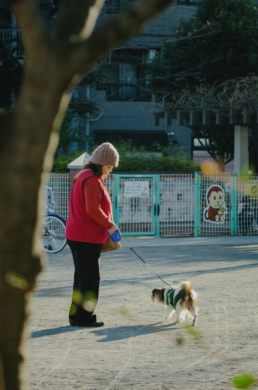 Превью Tokyo 2024